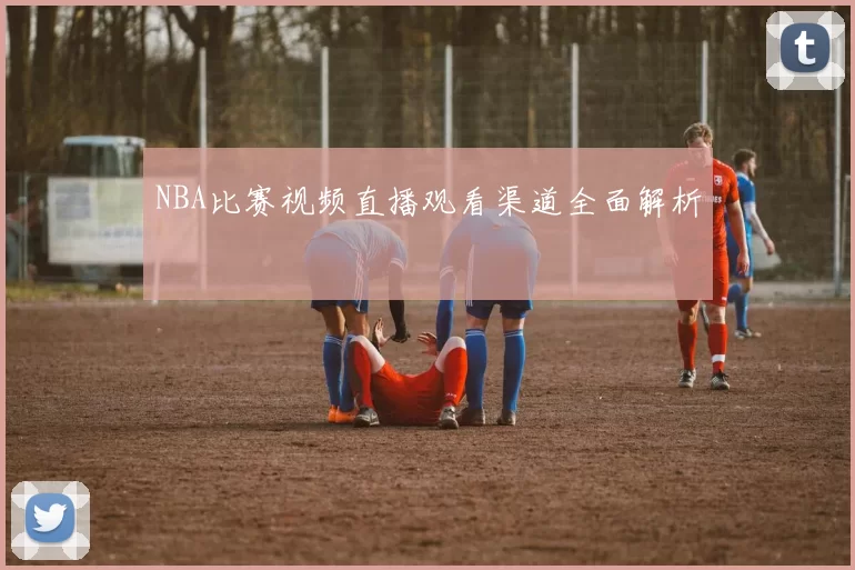 NBA比赛视频直播观看渠道全面解析