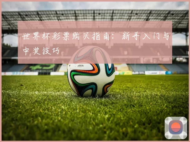 世界杯彩票购买指南:新手入门与中奖技巧