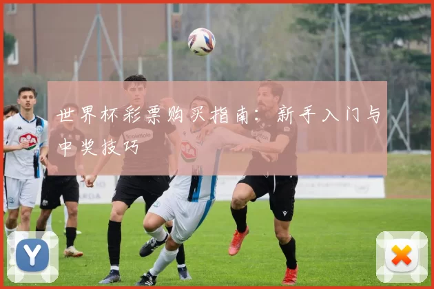 世界杯彩票购买指南：新手入门与中奖技巧