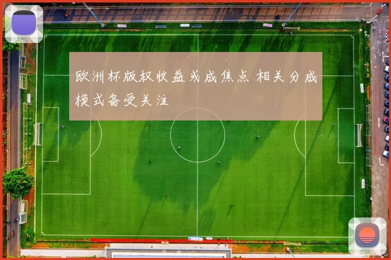 欧洲杯版权收益或成焦点 相关分成模式备受关注