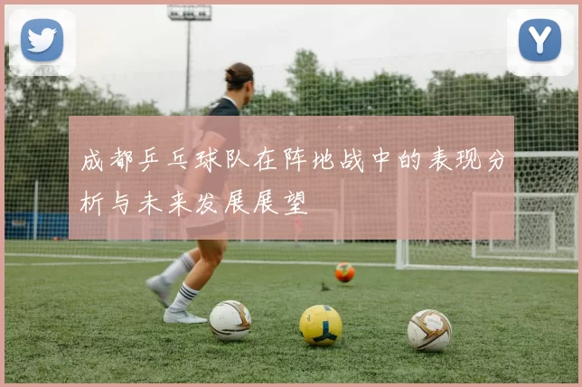 成都乒乓球队在阵地战中的表现分析与未来发展展望