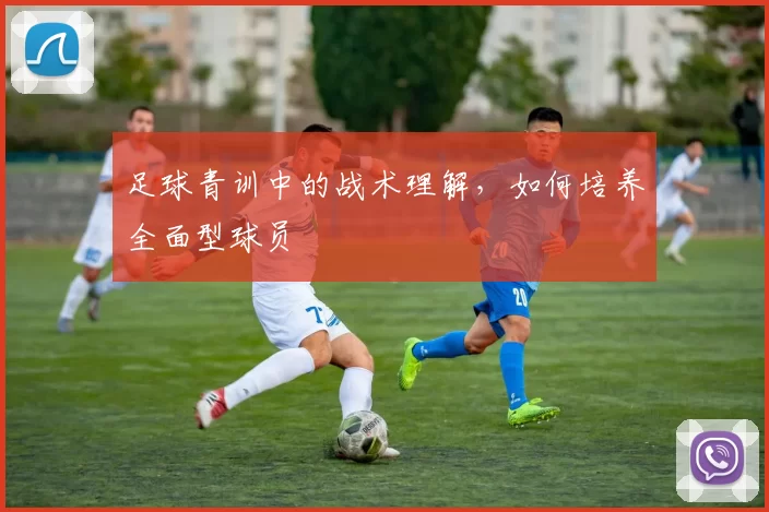 足球青训中的战术理解，如何培养全面型球员