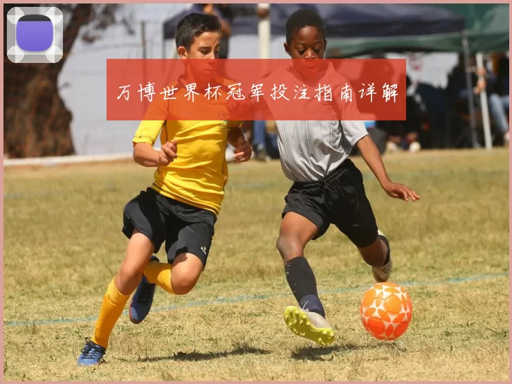 万博世界杯冠军投注指南详解