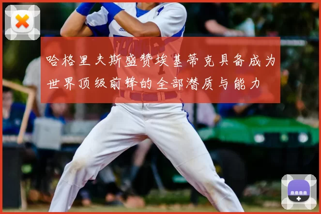 哈格里夫斯盛赞埃基蒂克具备成为世界顶级前锋的全部潜质与能力