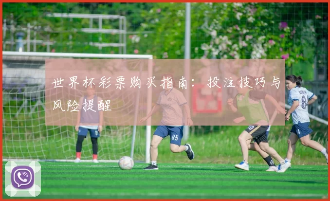世界杯彩票购买指南:投注技巧与风险提醒
