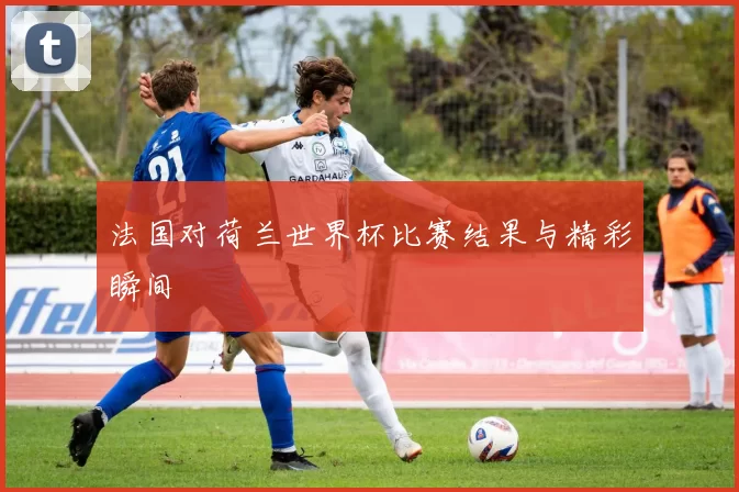 法国对荷兰世界杯比赛结果与精彩瞬间