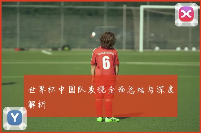 世界杯中国队表现全面总结与深度解析